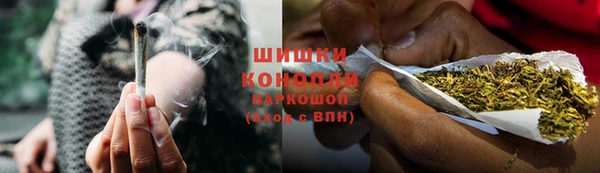 дурь Ельня