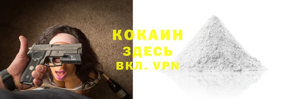 дурь Ельня