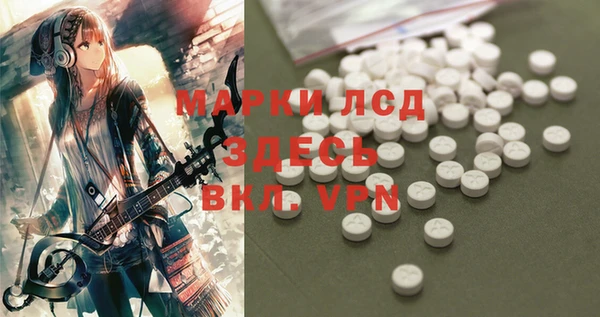 дурь Ельня