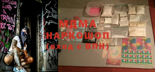 индика Заводоуковск