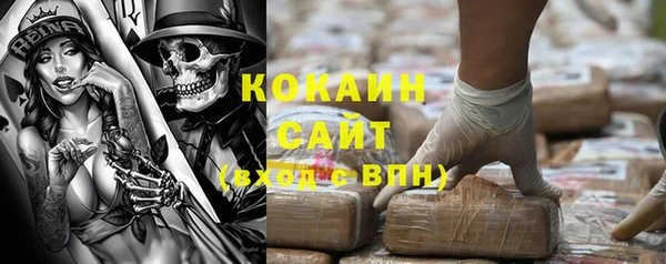 дурь Ельня