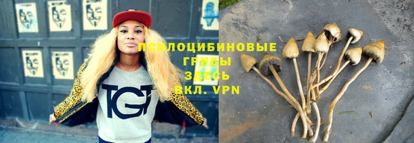 кокаин колумбия Елабуга