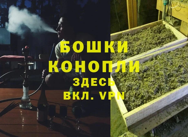 дурь Ельня