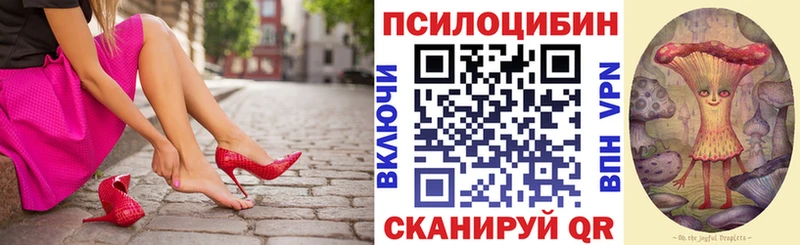 Купить  Мантурово  Псилоцибиновые грибы мицелий 